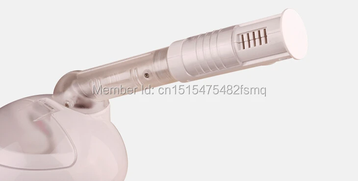 hair face steamer 3