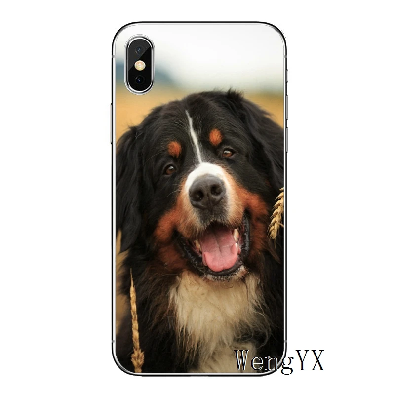 Бернская горная собака для Apple iPhone 8 7 plus 6s 6 plus X XR XS Max SE 5s 5c 5 4s 4 TPU мягкий чехол для телефона