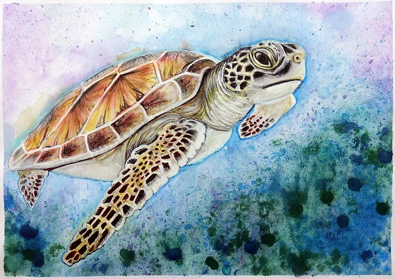 Diamond Sea Turtle Full Round Diamond Painting Cross Stitch Sea Turtle Full A5Q2
