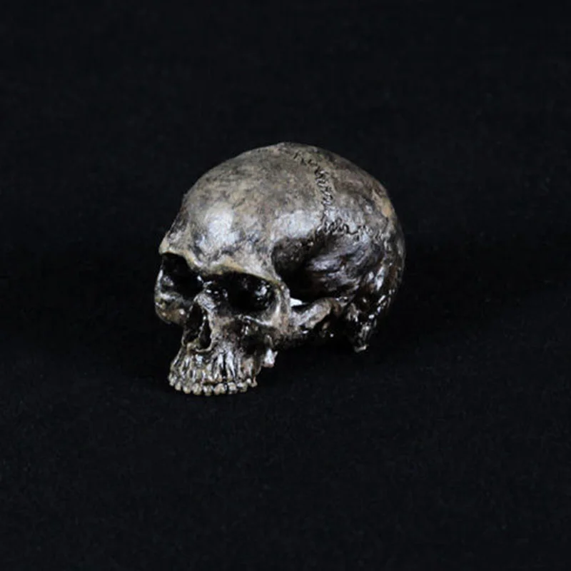 1/6 scale decoration  horror skull head action figure accessories for 12 inches figure toy