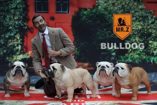 

Mr.Z Real Animal Series No.6 1/4 Z001-008 British Bulldog Resin Statue for 18" Collectible Action Figure Scene Accessories