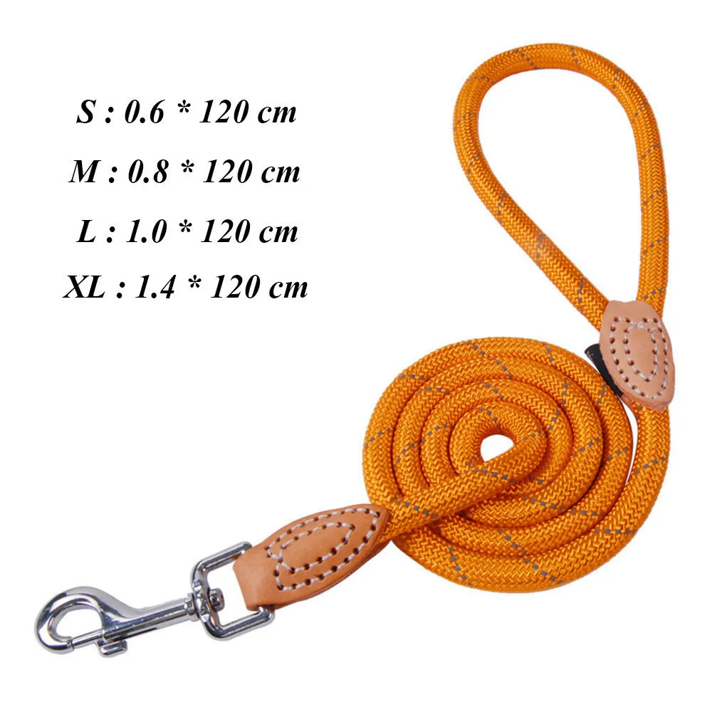 Dog Leashes For Dogs Outdoor Training Leash For Small Dog Puppy Leash Control Rope Durable Nylon Leads For Pet Dog Leash PY0229 (111)