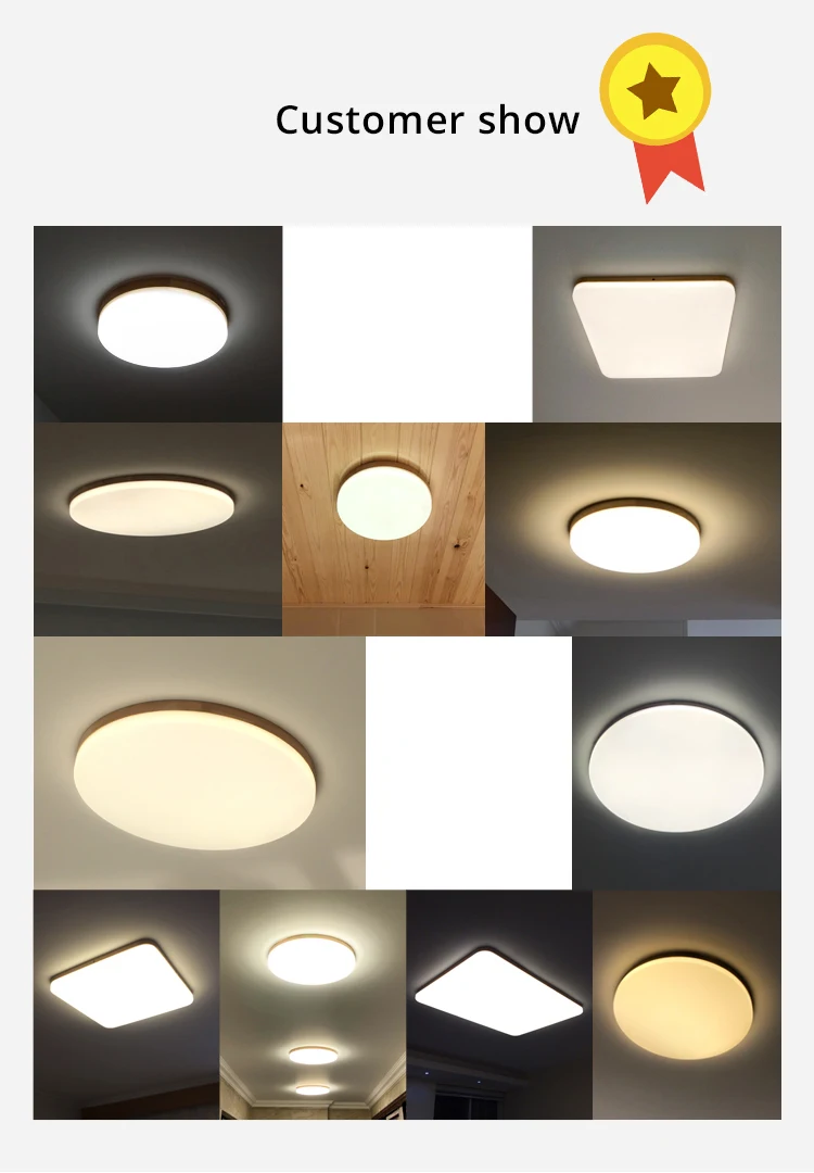 led ceiling light (4)