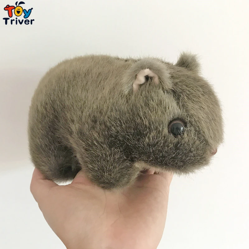 stuffed wombat