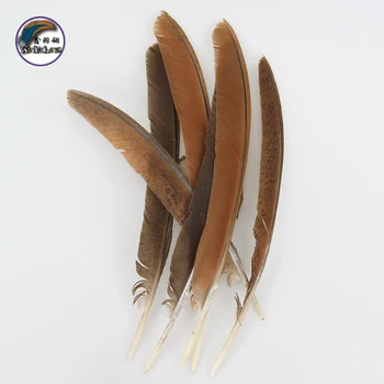 

11.2-14 Inch(28-35 cm) Hot-Selling High Quality Gorgeous Peacock Wing Feather for Decoration