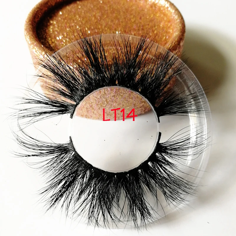 LT14 (1)