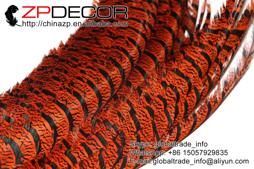 Zpdecor 36-40 дюймов(90-100 см) 100 шт./лот окрашенный оранжевый Зебра Алмазный фазан перья фазана для карнавального Шоу Украшения