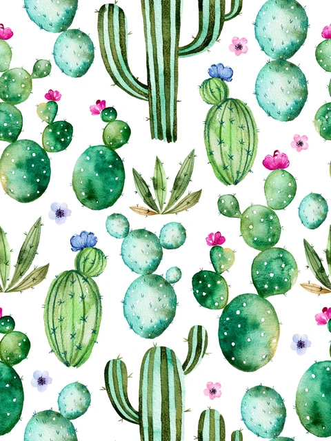 cactus green plant backdrop photogrpahy backdrops floral background floral background
