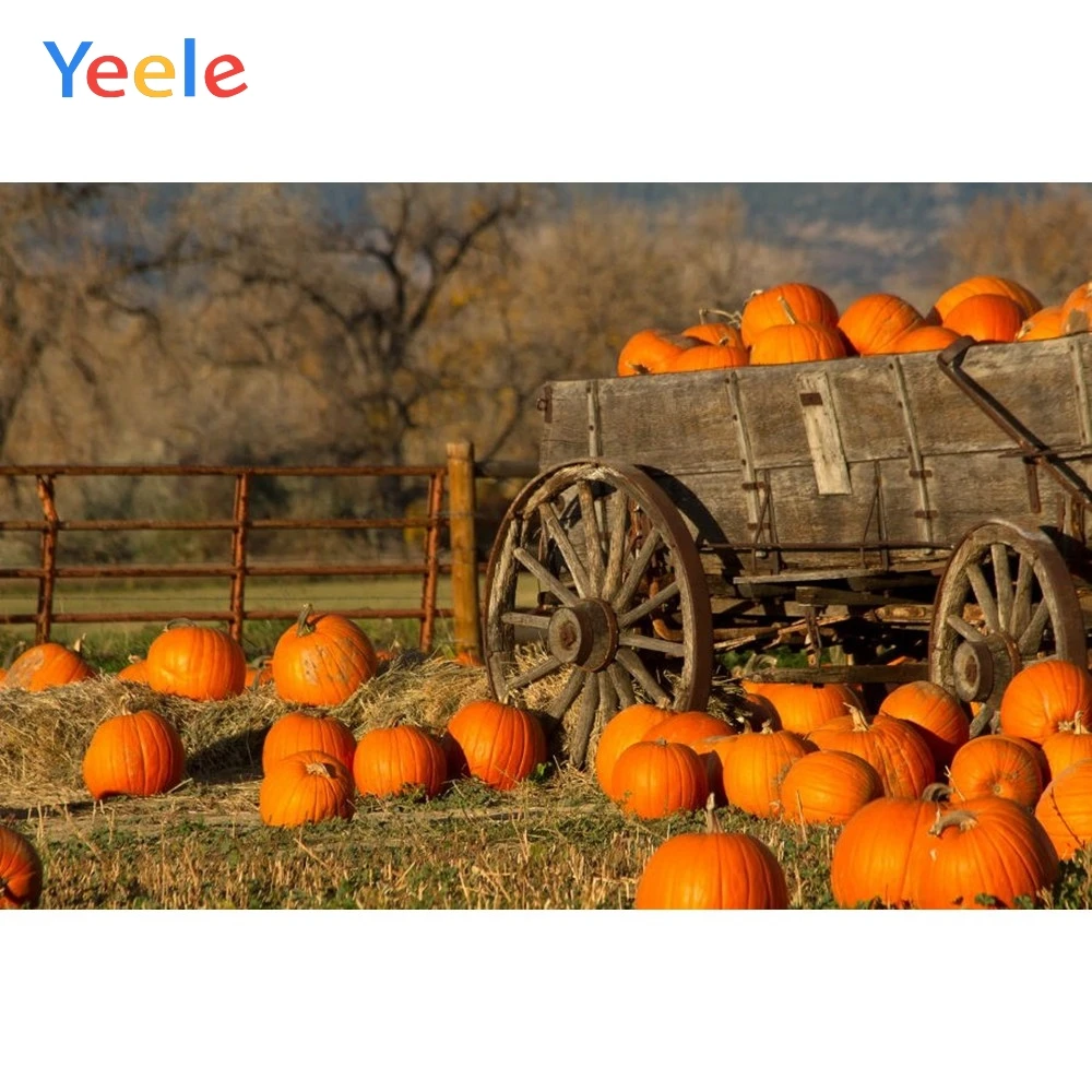 

Yeele Autumn Harvest Pumpkins Cart Hay Photography Background Baby Happy Thanksgiving Day Photocall Backdrop For Photo Studio