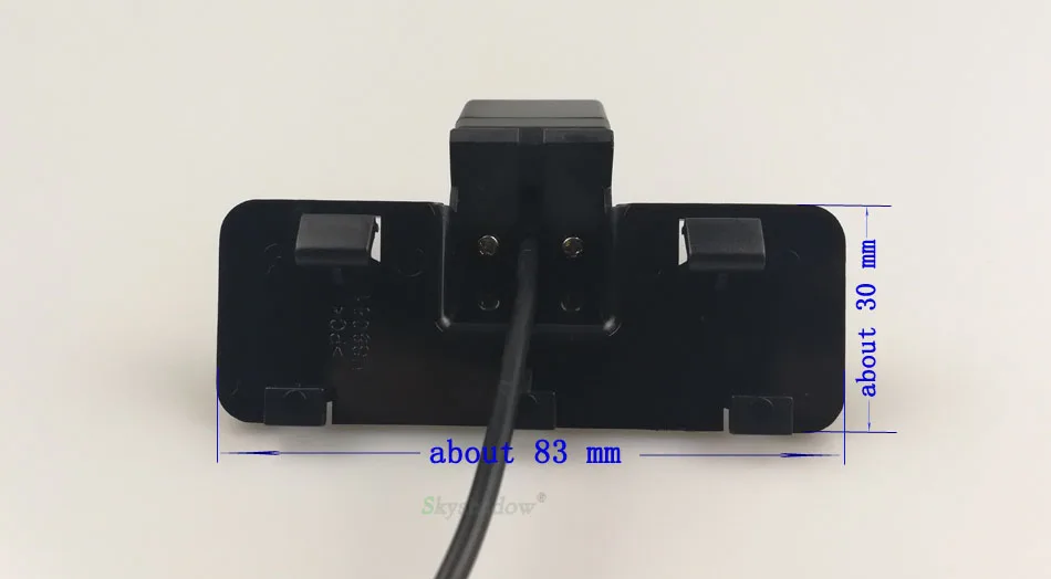 8081