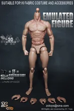 Free Shipping 1 6 Scale Muscular font b Figure b font Muscle Body Similar For Hot