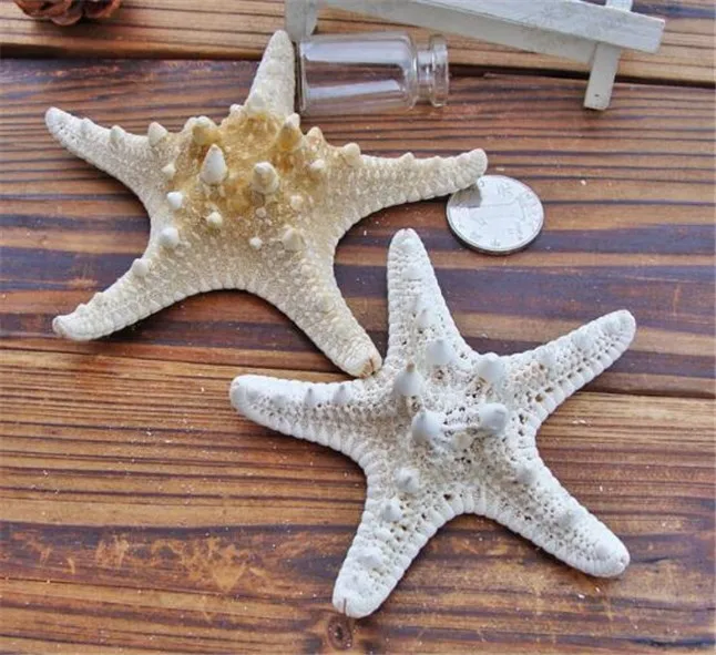 Starfish4