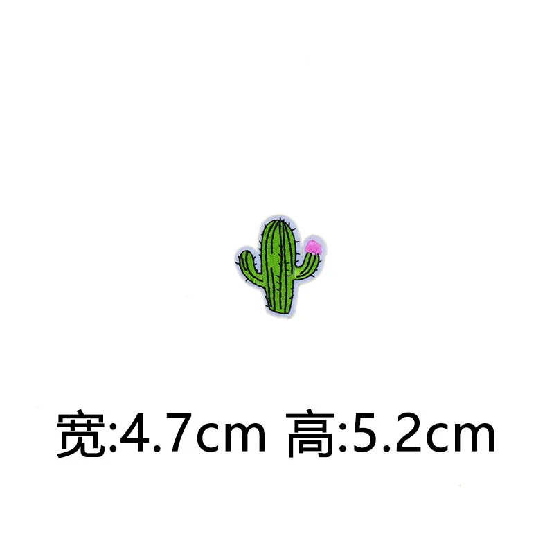 4250874857_1144625825