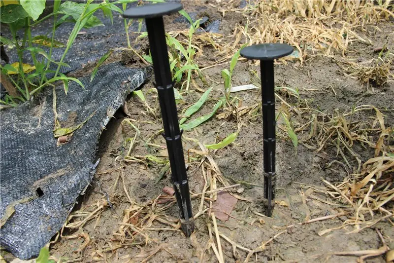 HTB1DpwkRFXXXXb5aXXXq6xXFXXXq