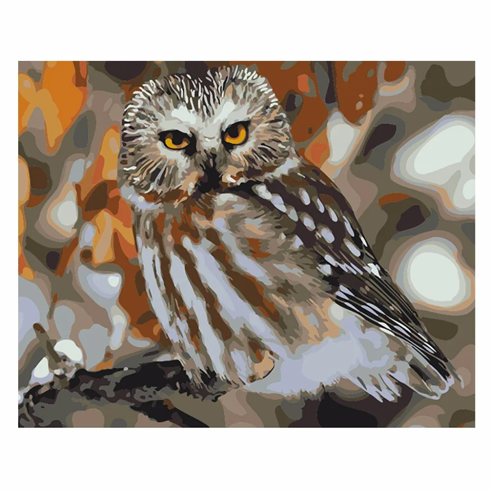 Frameless DIY Digital Oil Painting Paint By Number Owl Canvas Artwork