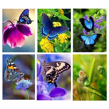 

Hot Sale! 20x25cm5D Full Square Diamond Painting Diamond Mosaic picture of rhinestone Diamond Embroidery Flower with Butterfly