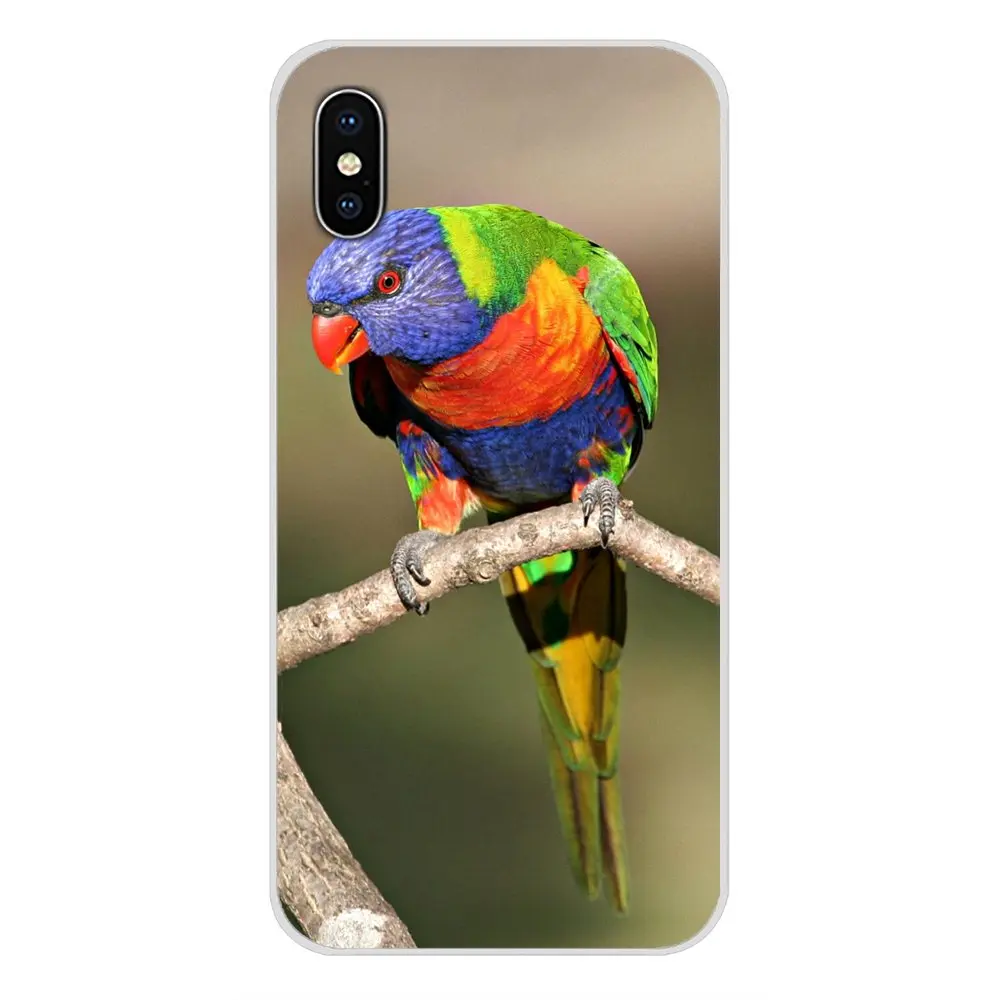 Аксессуары чехлы для телефонов Чехлы Apple iPhone X XR XS MAX 4 4S 5 5S 5C SE 6 6S 7 8 Plus ipod touch