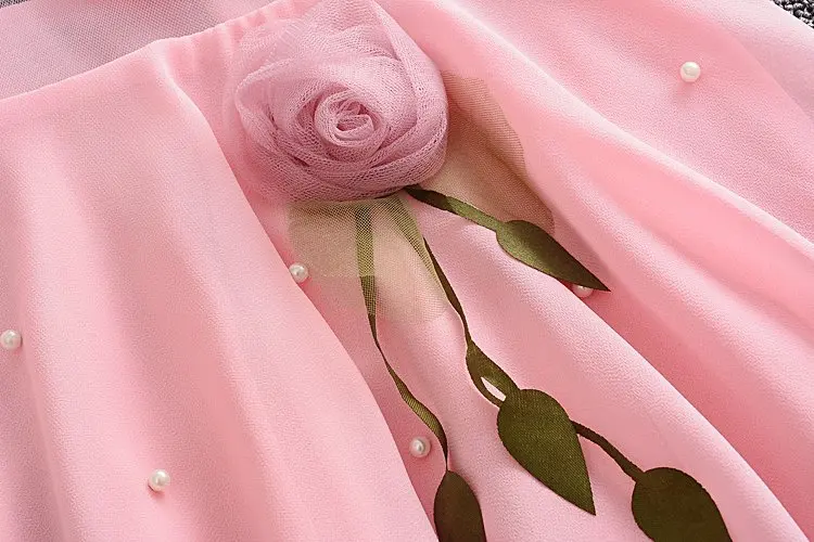 3191035376_113067139