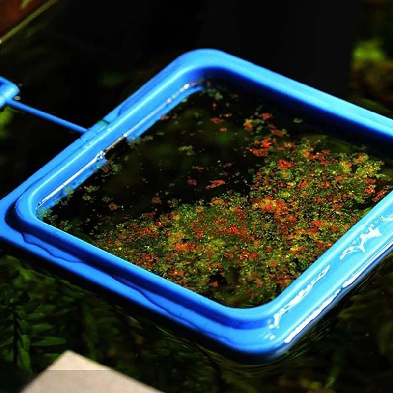

Aquarium Fish Tank Square Circle Ring Feeder Feeding Station Float Floating Food Fish Accessories