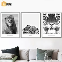 Black White Photo Lion Zebra Tiger Wall Art Canvas Painting Nordic Posters And Print Animal Wall Pictures For Living Room Decor Black White Photo Lion Zebra Tiger Wall Art Canvas Painting Nordic Posters And Print Animal Wall Pictures For Living Room Decor