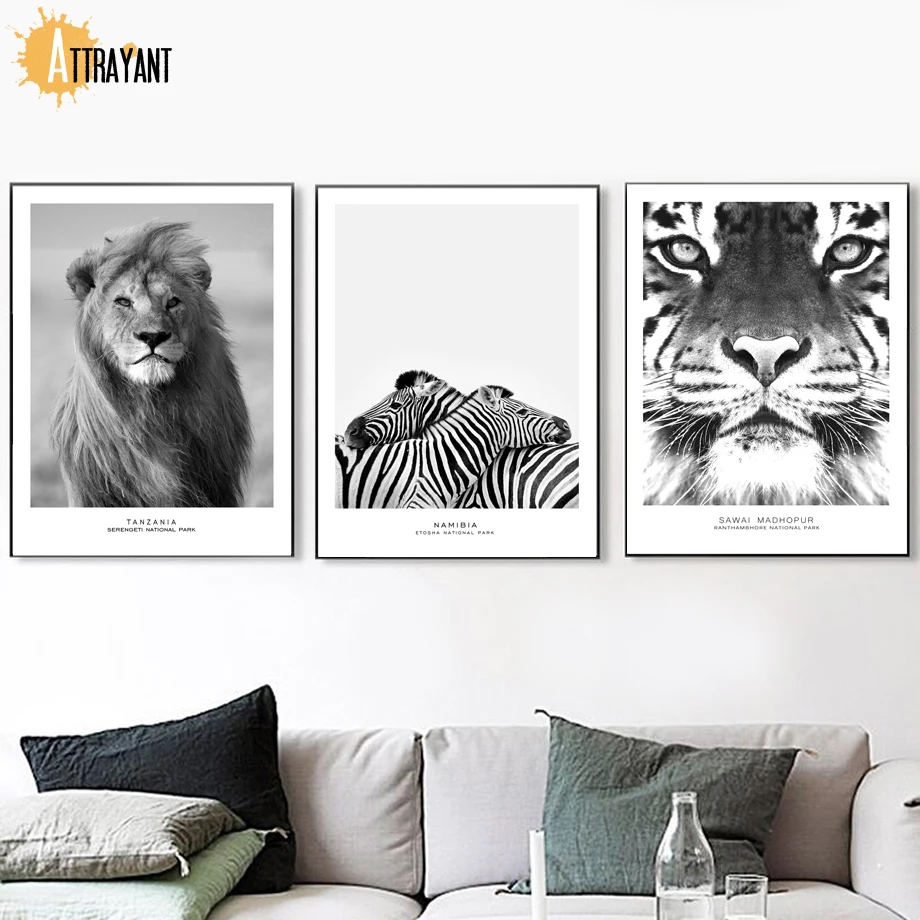 

Black White Photo Lion Zebra Tiger Wall Art Canvas Painting Nordic Posters And Print Animal Wall Pictures For Living Room Decor