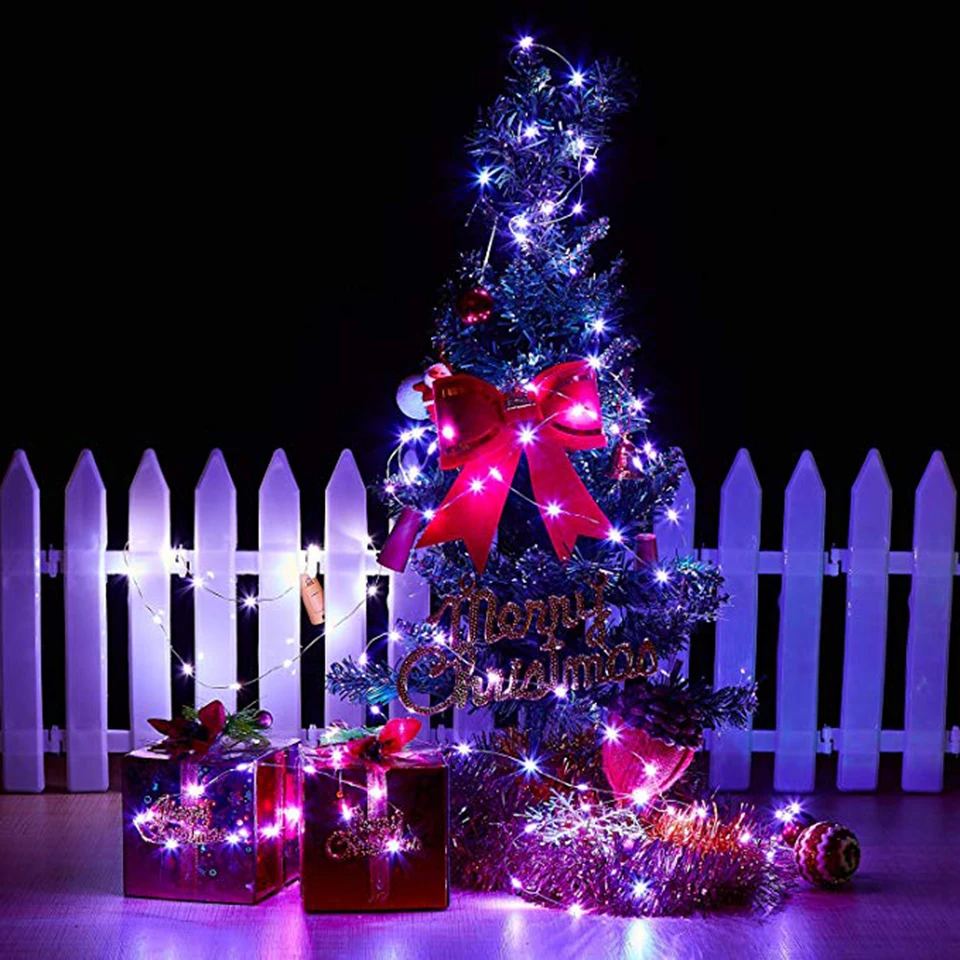 holiday light (8)