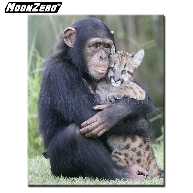 Любовь животных к людям. Звери на водопое. Животные на водопое в засуху. Тигренок и щенок. Прайд львов охота на буйволов.