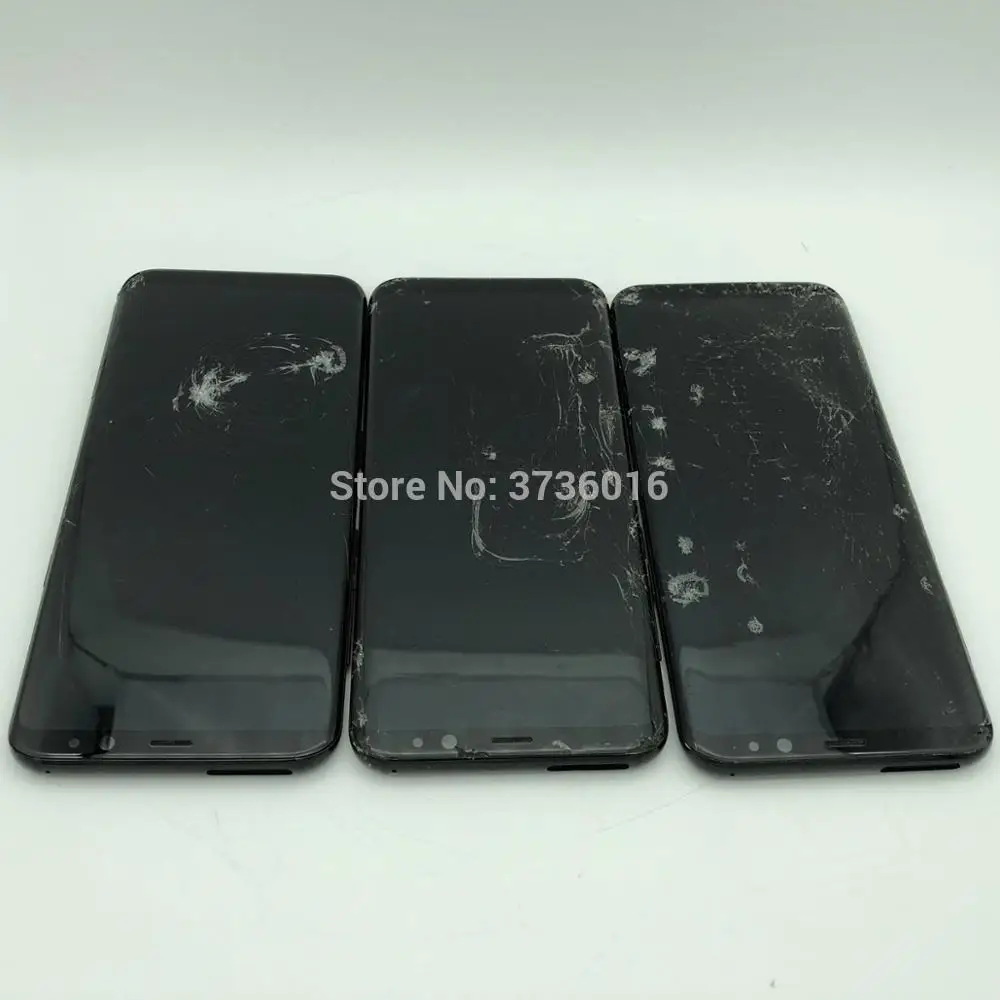 S8+1
