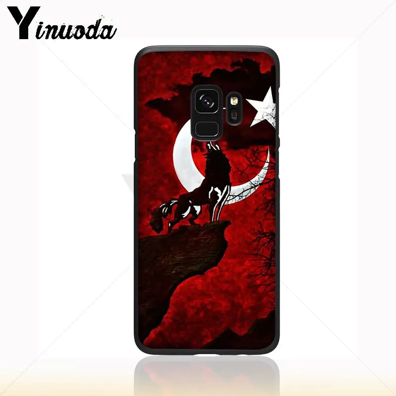 Flag of Istanbul Turkey wolf