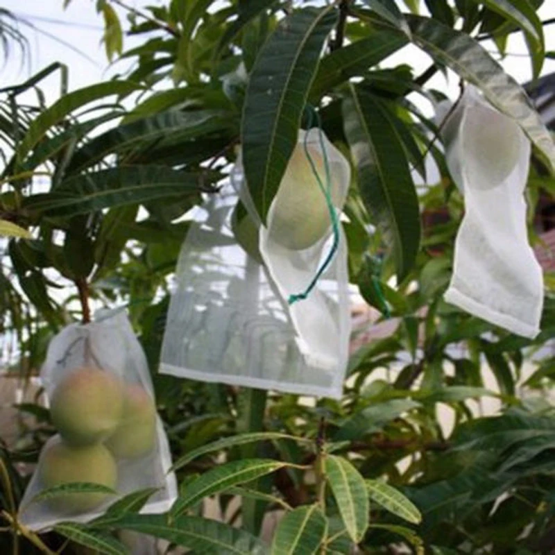 50 шт. белый дышащий садовый растение фрукты овощи защита шнурок сетка PE мешок против насекомых вредителей птиц 4 размера