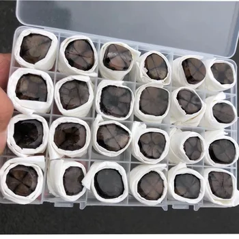 

Natural raw staurolite polished fairy cross stone mineral specimen reiki healing quartz crystal stone