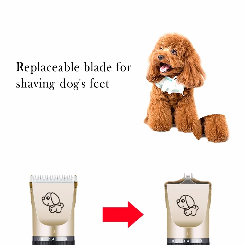 20190425160826_28326