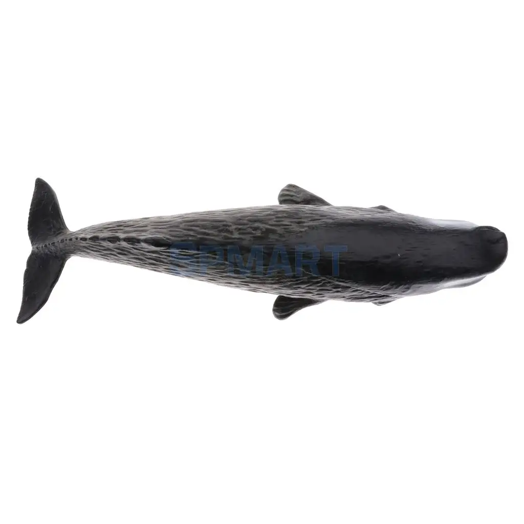Realistic Plastic Animal Model Figure Rabbit Horse Sailfish Whale Turtle Shark Figurine Kids Educational Toys Home Decoration