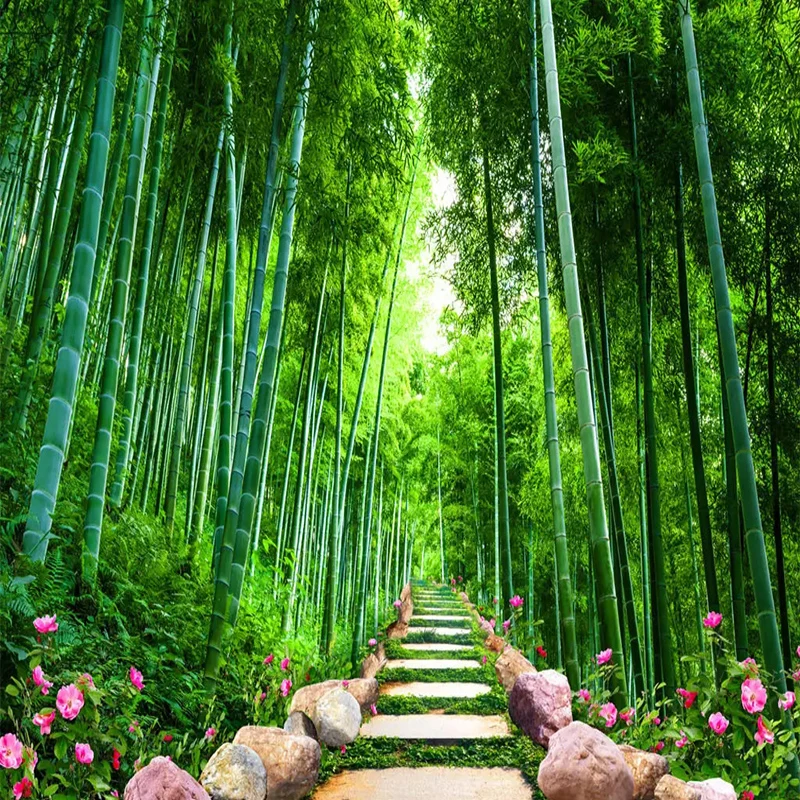 Custom Photo Wallpaper 3d Green Forest Bamboo Nature Scenery Mural Living  Room Tv Sofa Background Wall Painting Papel De Parede - Wallpapers -  AliExpress