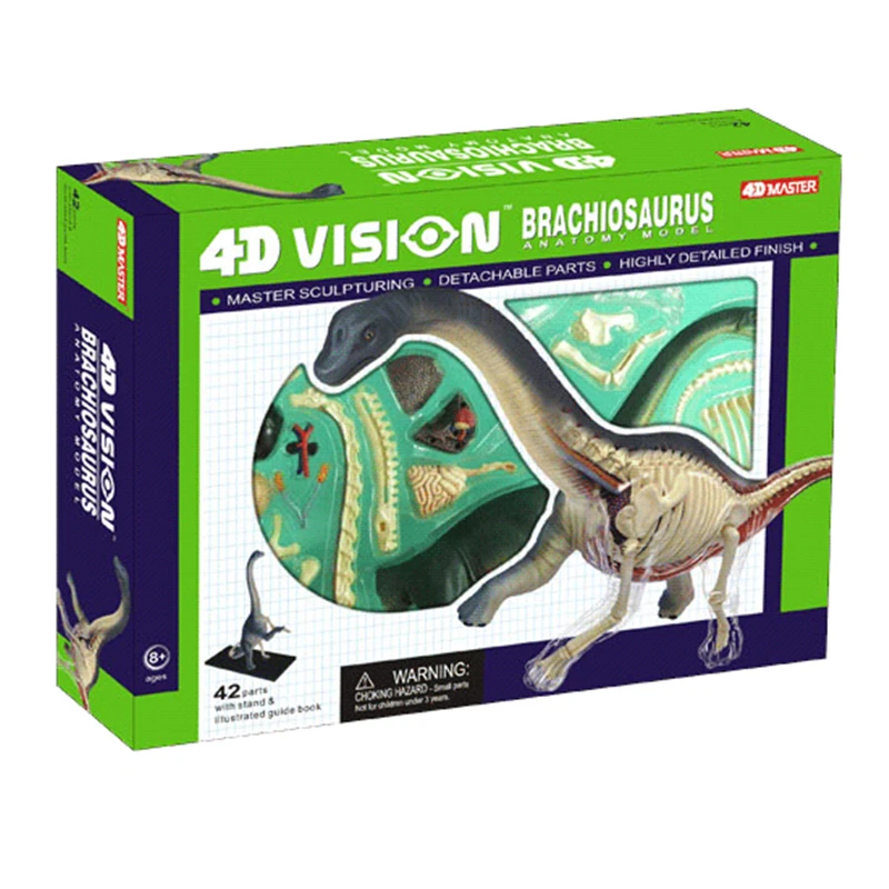 4D Брахиозавр интеллект сборка игрушка животный орган, анатомия манекен для медицинского обучения DIY популярная научная техника