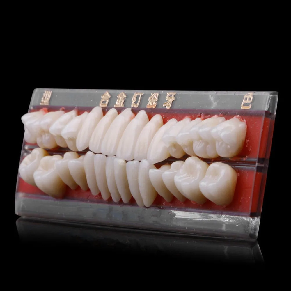 

24pcs/set Resin Teeth Model Durable Dental Materials Dentures Colors Tooth Shade Guide Teeth Model Teach High Quality