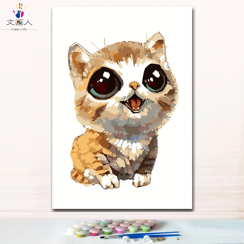 Büyük Gözlü Kedi