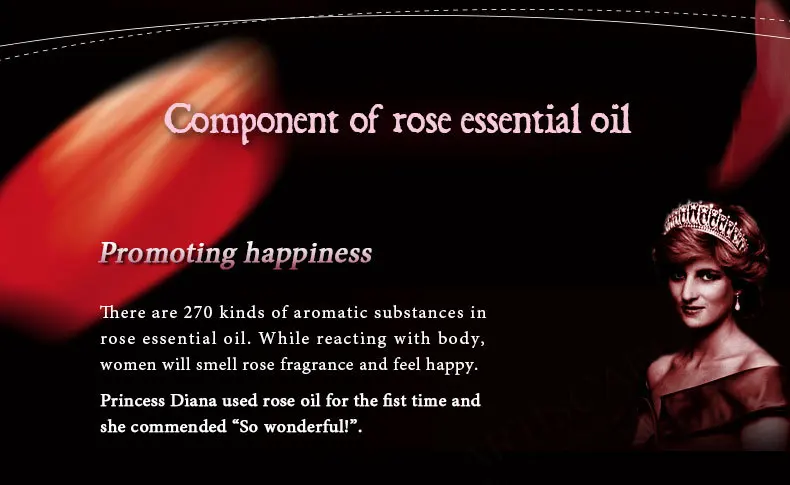 rose_02