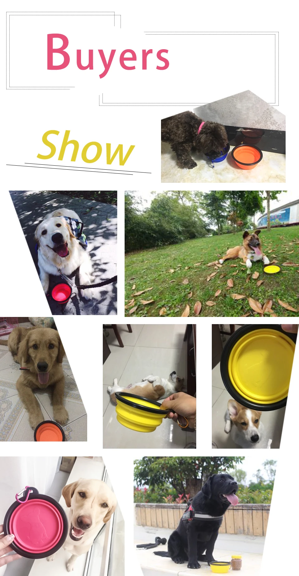 (1)