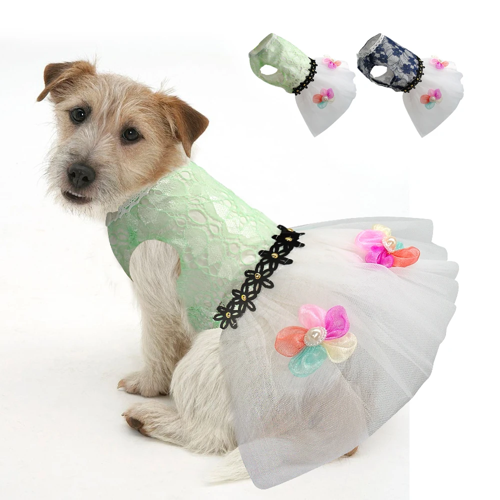 Didog Pet Dog Lace Dress Pretty Tulle Floral Princess Skirt Summer