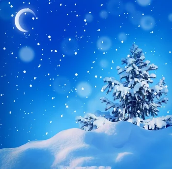 

SHENGYONGBAO Art Cloth Custom Winter Theme Photography Backdrops Studio Prop Background DT19511-2201