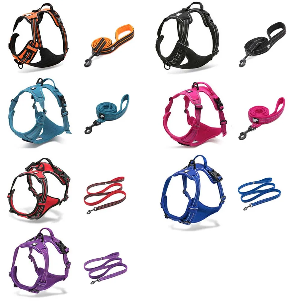 Truelove No Pull Dog Harness And Leash Set Front Fronge Reflective Soft Padded Chihuahua Vest Harness Leash For Dog Dropshipping (3)