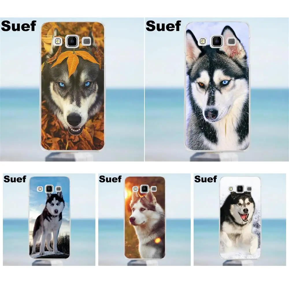 Suef Lovely Dog Siberian Husky Soft TPU Phone Case For Galaxy Alpha Core Prime Note 2 3 4 5 S3 S4 S5 S6 S7 S8 mini edge Plus | Мобильные