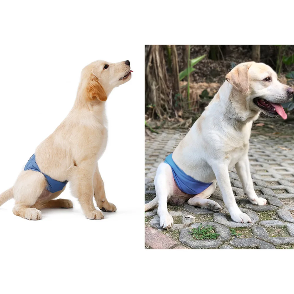 

Pet Dog Panty Sanitary Pants anti-harassment dog diaper dog physiological belt waterproof bottom underwear pet sanitary pants