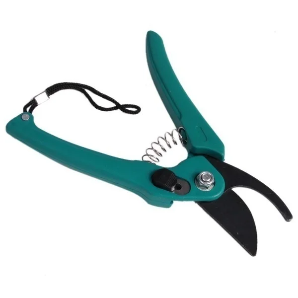 The botanical garden shrubs flower bonsai gardening supplies tools