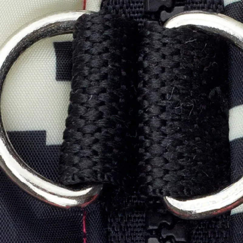 dog clothes buckle