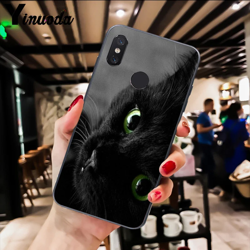 Cute Black Cat Staring Eyes 