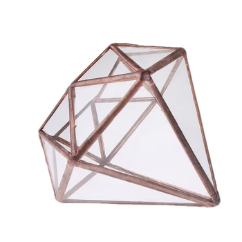 

Vertebral Glass Geometric Terrarium Tabletop Succulent Air Planter Box Bonsai Modern Glass Geometric Flower Plant Pot for Garden
