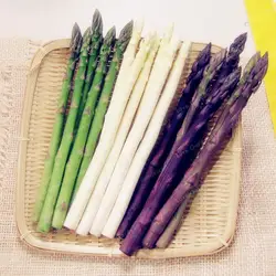 Asparagus Officinalis растения один из десяти лучших в мире блюд самый здоровый вкусный питательный растительный сад завод 50 шт