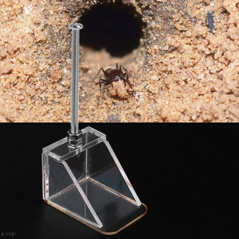 Dust Cleaning Device for Ant nest Cleaning Tool Ant farm Ant House acryl or insect  ant nests villa pet mania for house Arcylic|Insect Supplies| - AliExpress